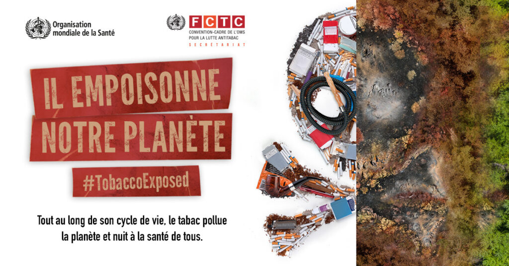 Le tabagisme : néfaste pour les poumons, désastreux pour la planète !